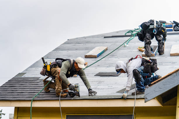 Professional Gutter Installation technician working in Hillsboro, KY